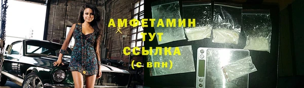 сатива Аркадак