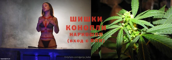сатива Аркадак