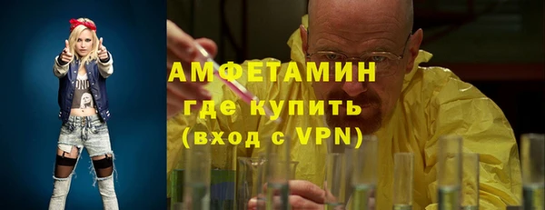 сатива Аркадак