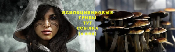 мдма Переславль-Залесский