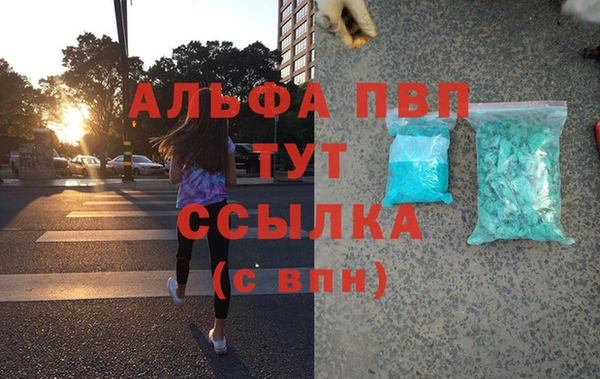 сатива Аркадак