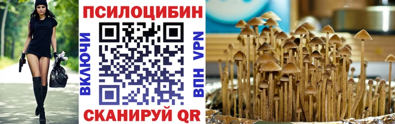 Галлюциногенные грибы Psilocybine cubensis  Райчихинск 