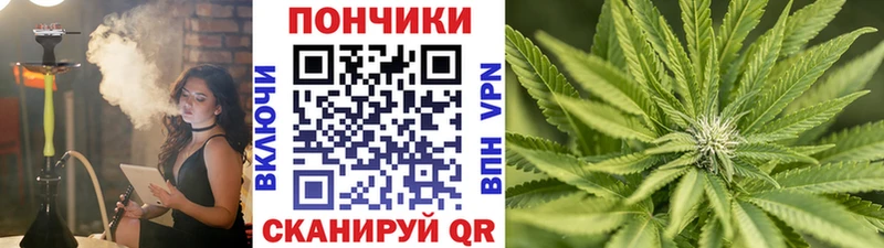 Бошки марихуана марихуана Райчихинск
